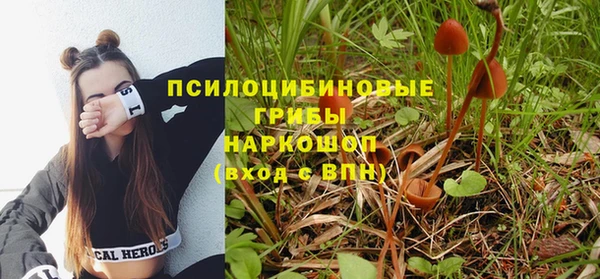 стафф Горнозаводск