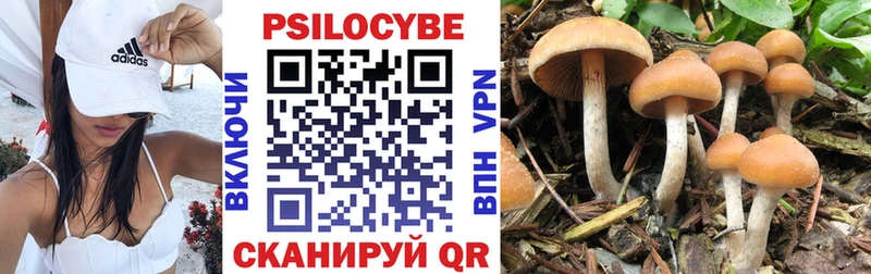 Купить  Новая Ляля  Псилоцибиновые грибы ЛСД 